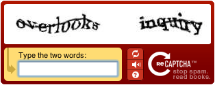 reCAPTCHA   Wordpress