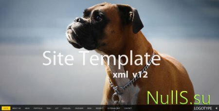 XML шаблон сайта (личный сайт) v12 